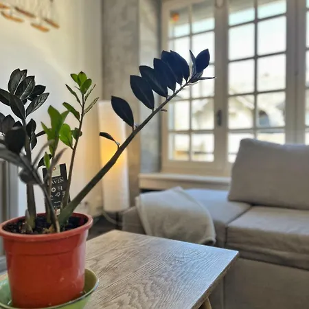 Lejlighed T4 Lumineux, Equipe, Au Centre D'aurillac Aurillac