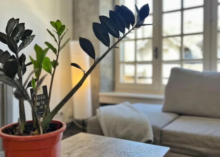 Appartement T4 Lumineux, équipé, Au Centre D'aurillac Aurillac